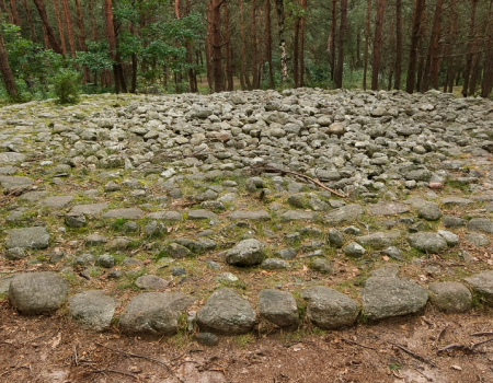 Kamienne Kręgi Węsiory